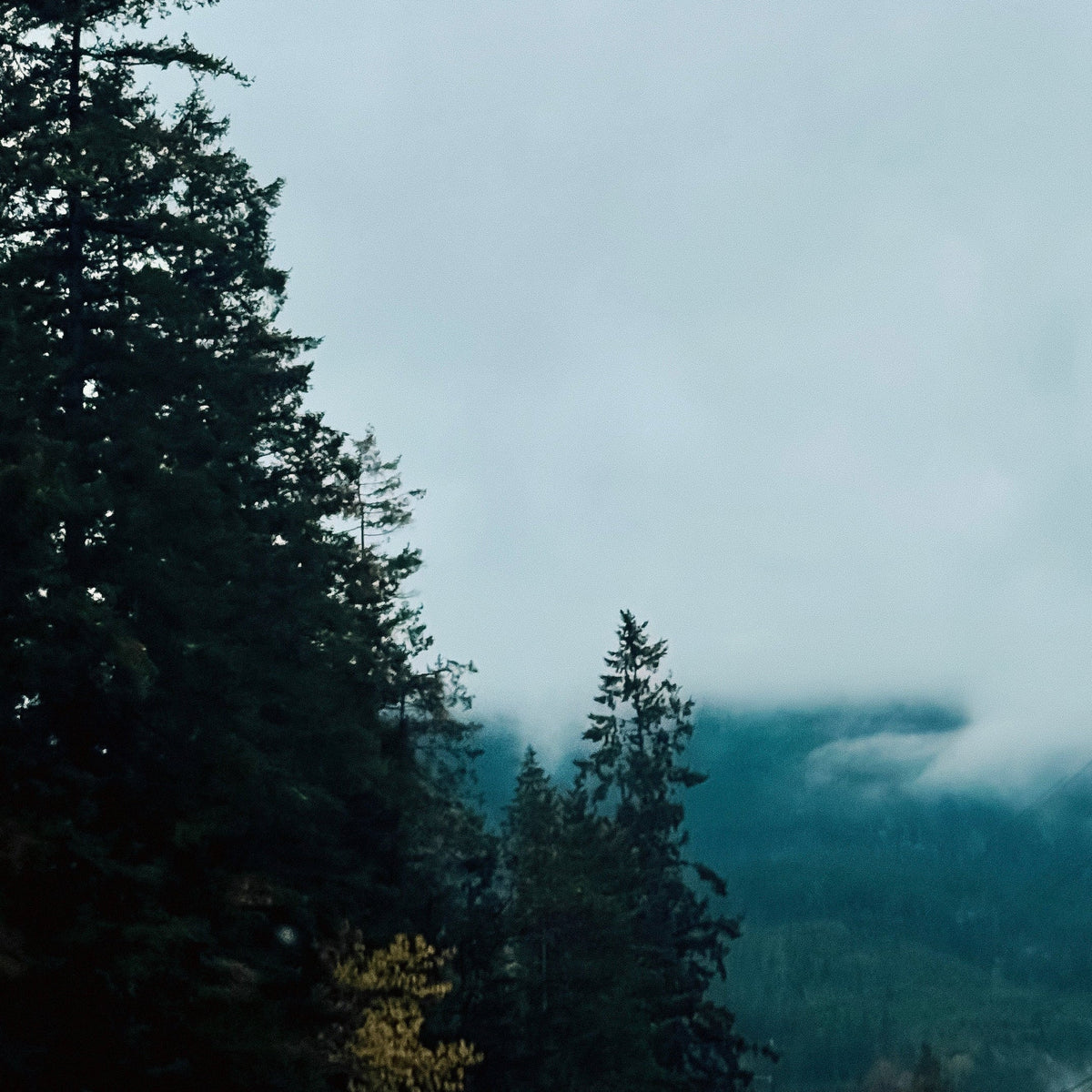 PNW Collection