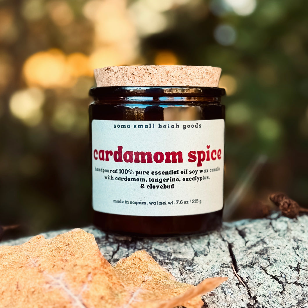 Cardamom Spice - Pure Essential Oil Collection - NEW!